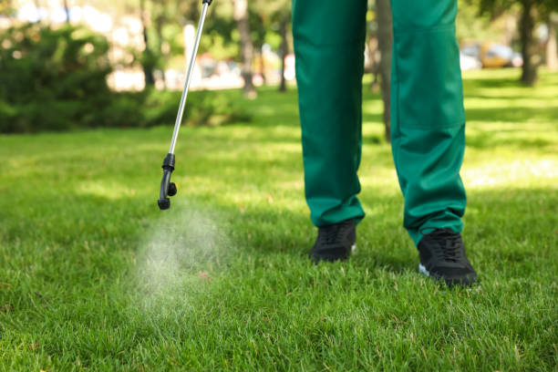 Professional Pest Control in Moapa Valley, NV